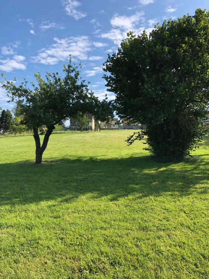The Walnut Tree Gite Le Dorat Exterior foto